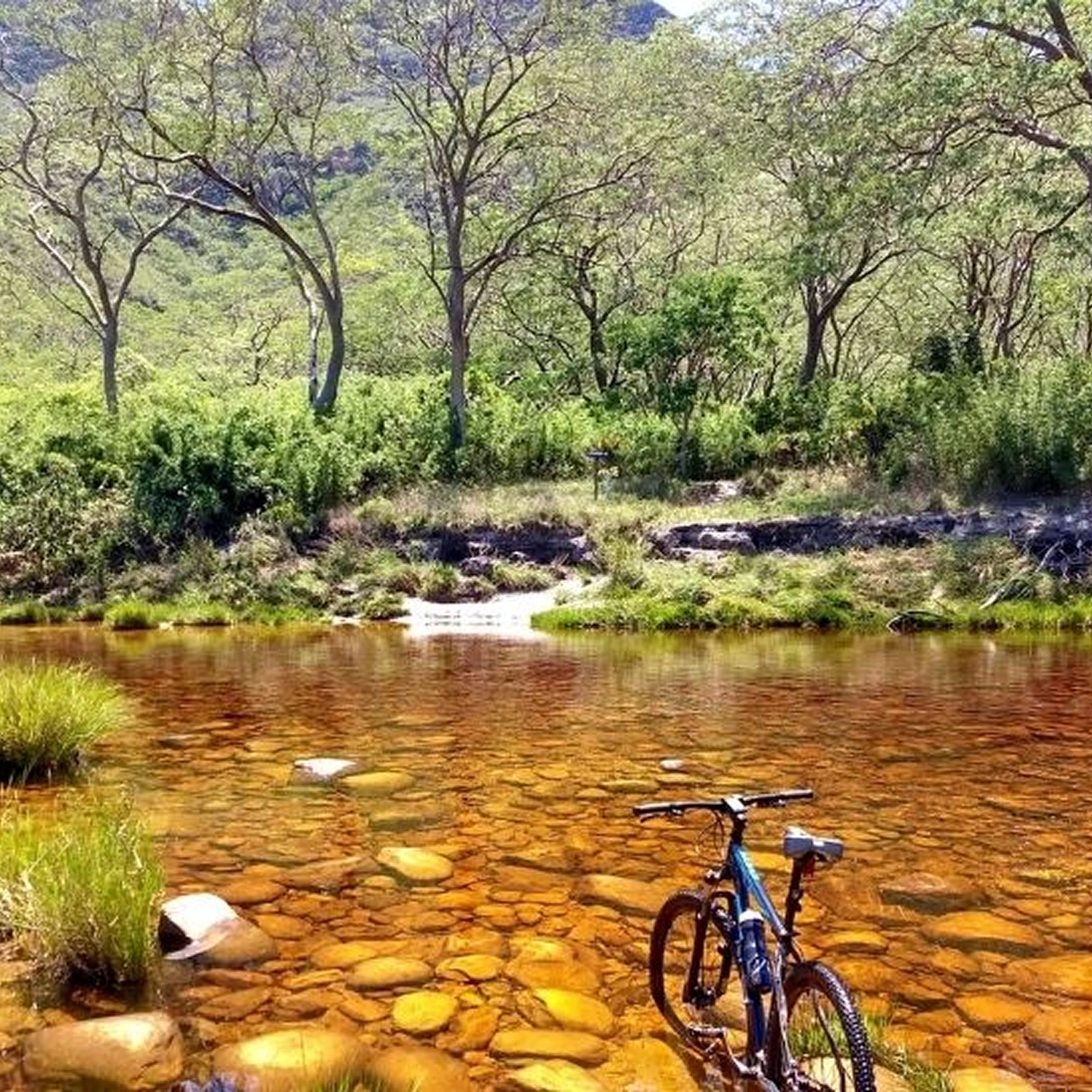 Experiências Turísticas